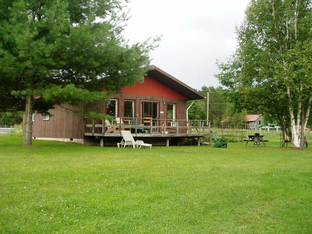 Bondi Village Cottage Resort Lake of Bays Екстериор снимка